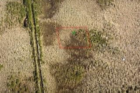 Land in DeLand, Florida № 2161884 - photo 8