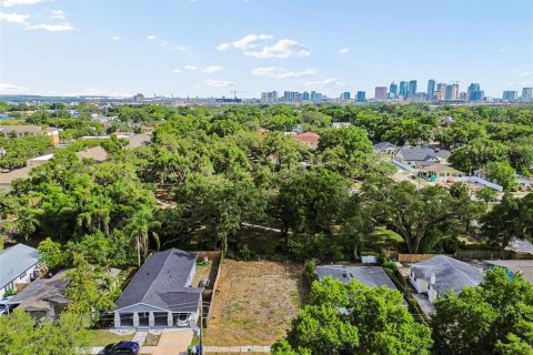 Land in Tampa, Florida № 2095984 - photo 4