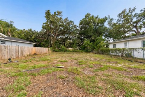 Land in Tampa, Florida № 2095984 - photo 26