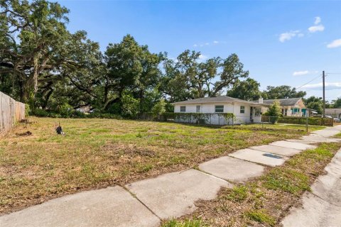 Land in Tampa, Florida № 2095984 - photo 24