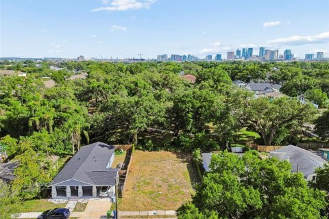 Land in Tampa, Florida № 2095984 - photo 19