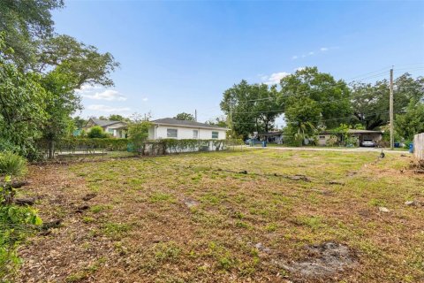 Land in Tampa, Florida № 2095984 - photo 29