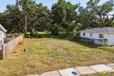 Land in Tampa, Florida № 2095984
