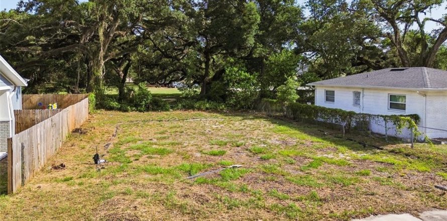 Land in Tampa, Florida № 2095984
