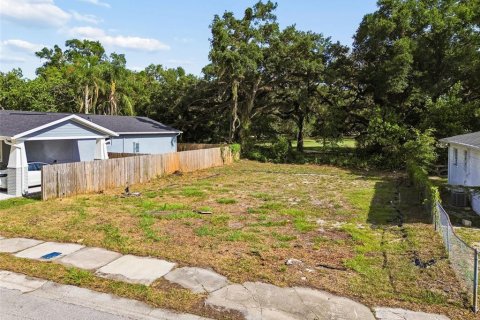 Land in Tampa, Florida № 2095984 - photo 22
