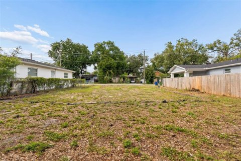 Land in Tampa, Florida № 2095984 - photo 28