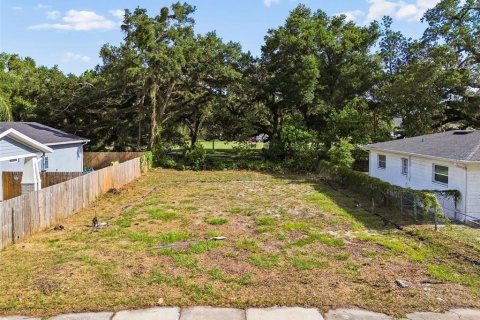 Land in Tampa, Florida № 2095984 - photo 21