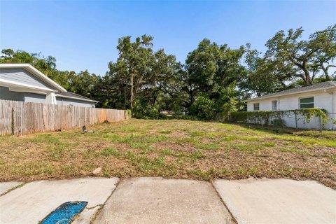 Land in Tampa, Florida № 2095984 - photo 23