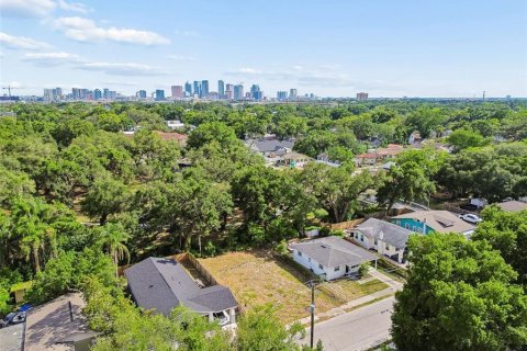 Land in Tampa, Florida № 2095984 - photo 3