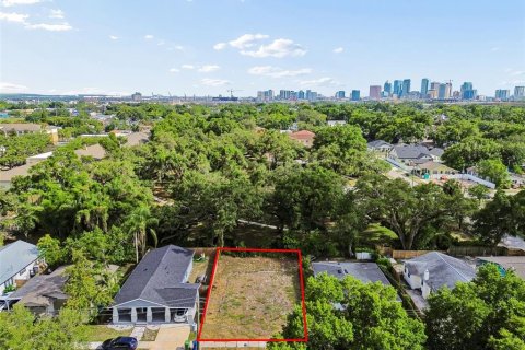 Land in Tampa, Florida № 2095984 - photo 5