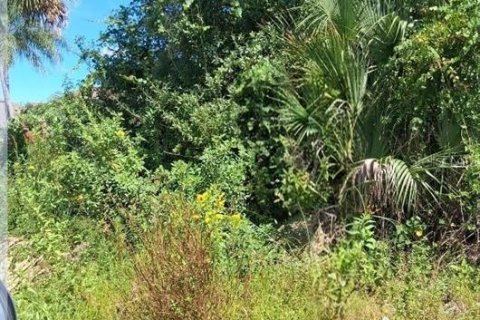 Land in Palm Bay, Florida № 2381315