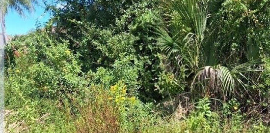 Land in Palm Bay, Florida № 2381315