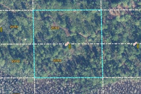 Terreno en venta en Orlando, Florida № 2238470 - foto 4