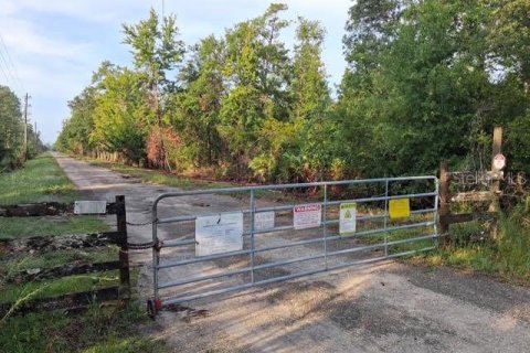 Terreno en venta en Orlando, Florida № 2238470 - foto 2