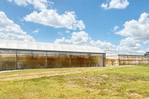 Commercial property in Winter Haven, Florida 83.24 sq.m. № 2196222 - photo 13