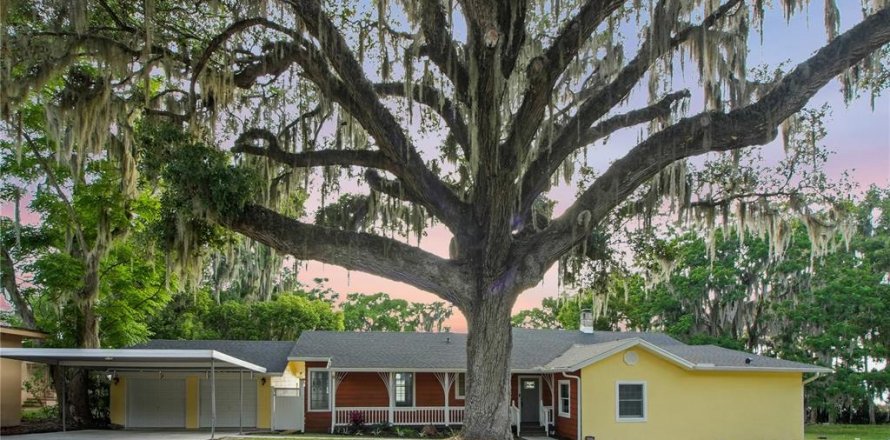 House in Leesburg, Florida 4 bedrooms, 247.58 sq.m. № 2208693