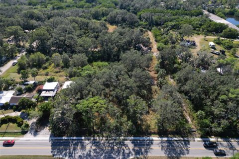 Commercial property in Tampa, Florida № 2016117 - photo 21