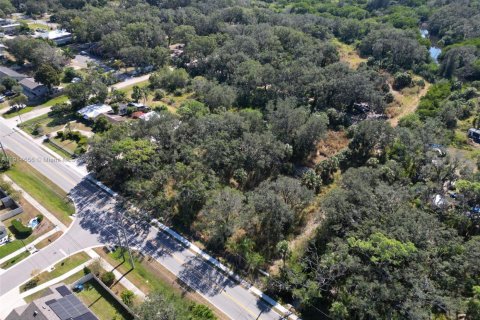 Commercial property in Tampa, Florida № 2016117 - photo 23