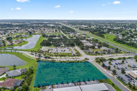 Land in Summerfield, Florida № 2166207 - photo 3