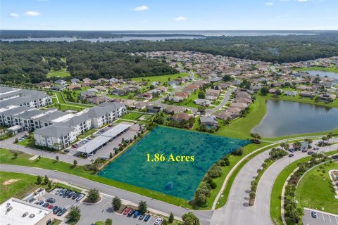 Land in Summerfield, Florida № 2166207 - photo 2