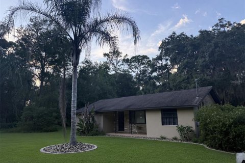 House in Mount Dora, Florida 3 bedrooms, 134.71 sq.m. № 2391418 - photo 21