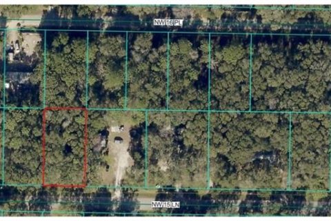 Land in Ocala, Florida № 2159872 - photo 2