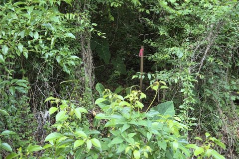 Terreno en venta en Alachua, Florida № 1721773 - foto 3