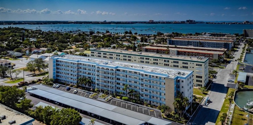 Condo à Gulfport, Floride, 1 chambre № 2151424