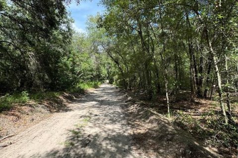 Land in Ocala, Florida № 2163568 - photo 3