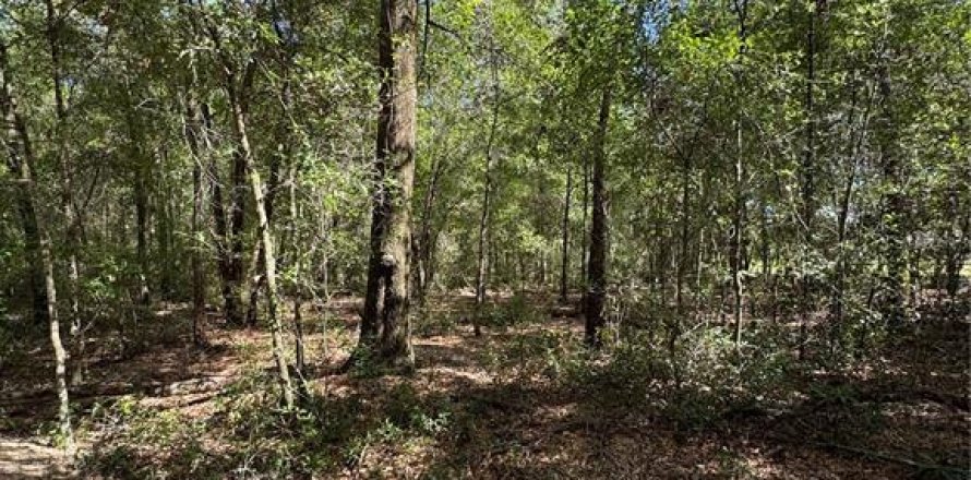 Land in Ocala, Florida № 2163568