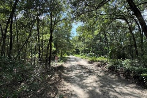 Land in Ocala, Florida № 2163568 - photo 4