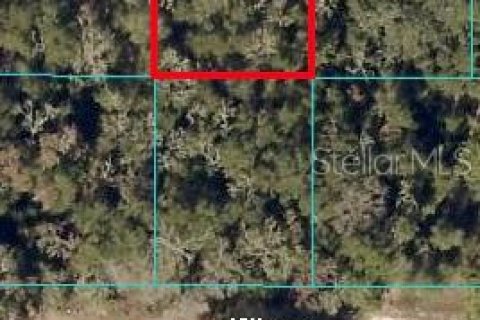 Land in Ocala, Florida № 2163568 - photo 2