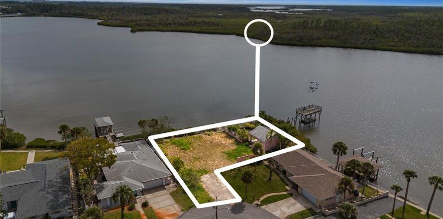 Terreno en Port Orange, Florida № 1549767