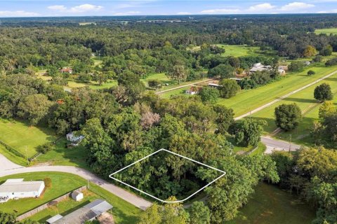 Land in Summerfield, Florida № 2329495