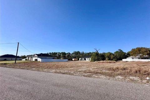 Land in Cape Coral, Florida № 2159650 - photo 4
