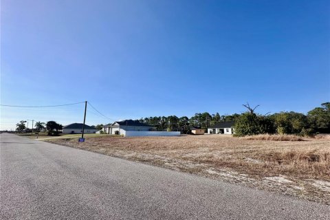 Land in Cape Coral, Florida № 2159650 - photo 5