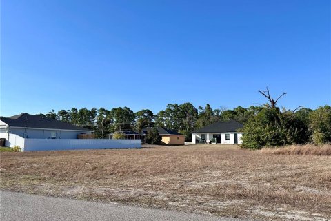 Land in Cape Coral, Florida № 2159650