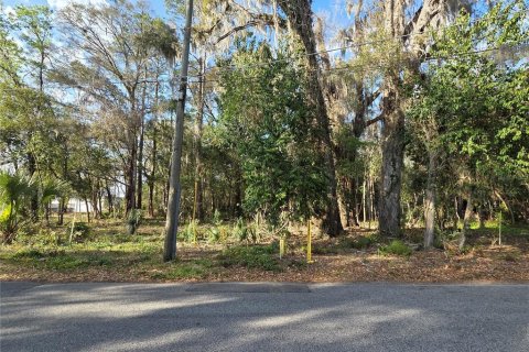 Land in Gainesville, Florida № 2205863