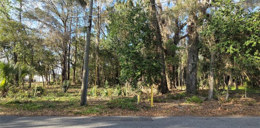 Terrain à Gainesville, Floride № 2205863