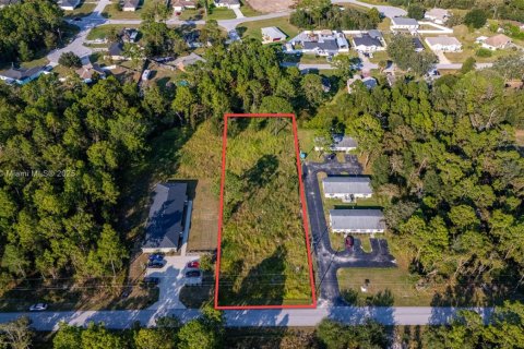 Commercial property in Ocala, Florida № 1933467 - photo 7