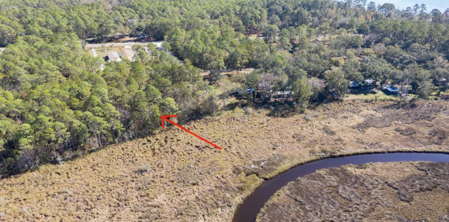 Land in Freeport, Florida № 558870