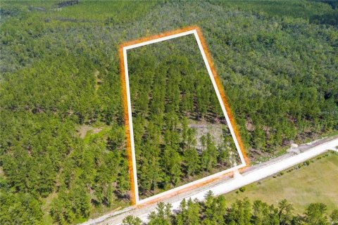 Land in Lawtey, Florida № 1744989 - photo 1