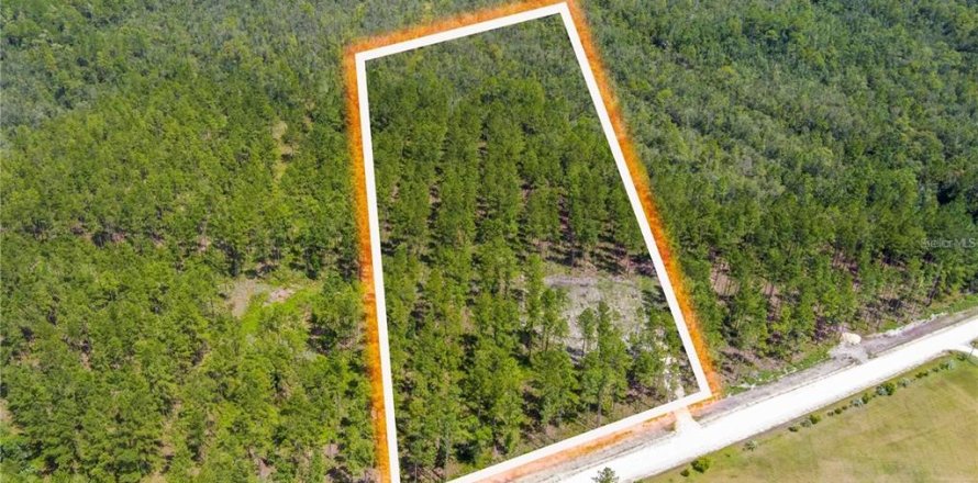 Land in Lawtey, Florida № 1744989
