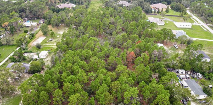 Terreno en Spring Hill, Florida № 1918744
