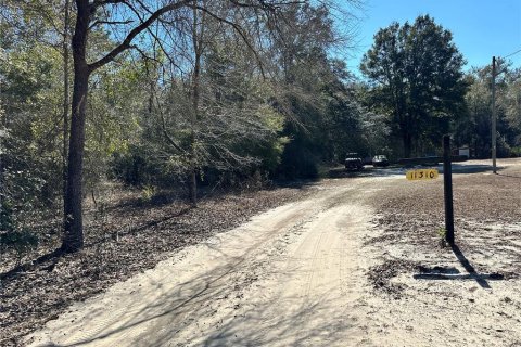 Land in Bronson, Florida № 2160568 - photo 2