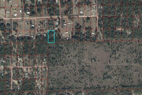 Land in Bronson, Florida № 2160568 - photo 7