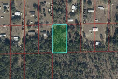 Land in Bronson, Florida № 2160568 - photo 6