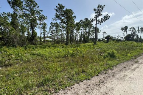 Land in Punta Gorda, Florida № 1807386 - photo 1