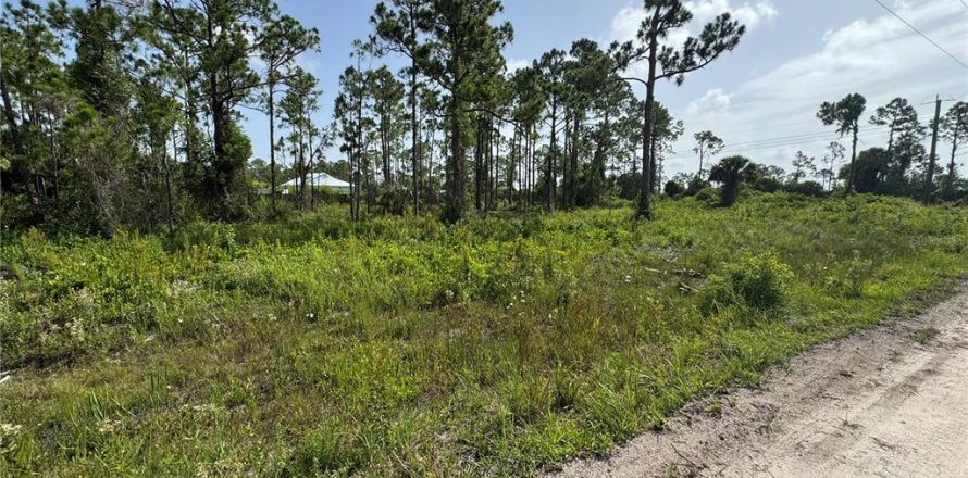 Land in Punta Gorda, Florida № 1807386
