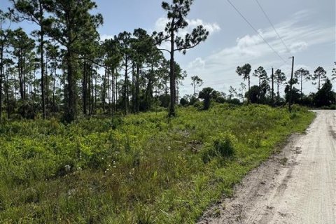 Land in Punta Gorda, Florida № 1807386 - photo 3